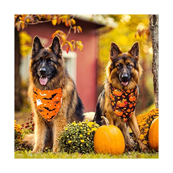 Whaline 4 pack autumn dog bandanas reversible halloween fall triangle bibs pumpkin ghost bat pet scarf washable cotton pet neckerchief for medium large pets cats dogs - image 5