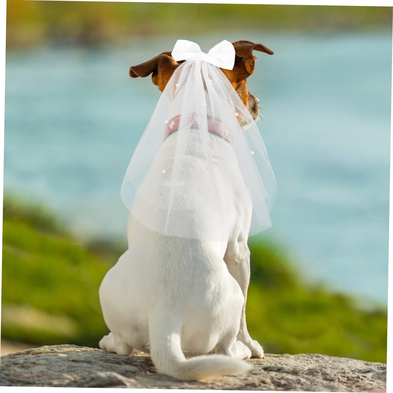 Yardwe Pet Bow Veil for Dogs Elegant Wedding Hair Decoration Soft Gauze Material for Pet Weddings Parties and Birthdays Stylish Pet Accessory for Special Occasions