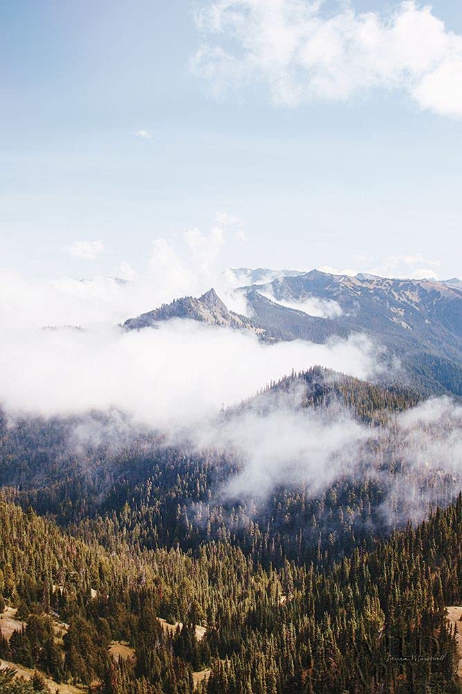 Hurricane Ridge I by Laura Marshall -