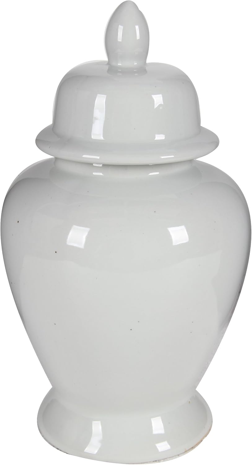 Benzara, White BM165656 Decorative Porcelain Ginger Jar with Lidded Top, Medium