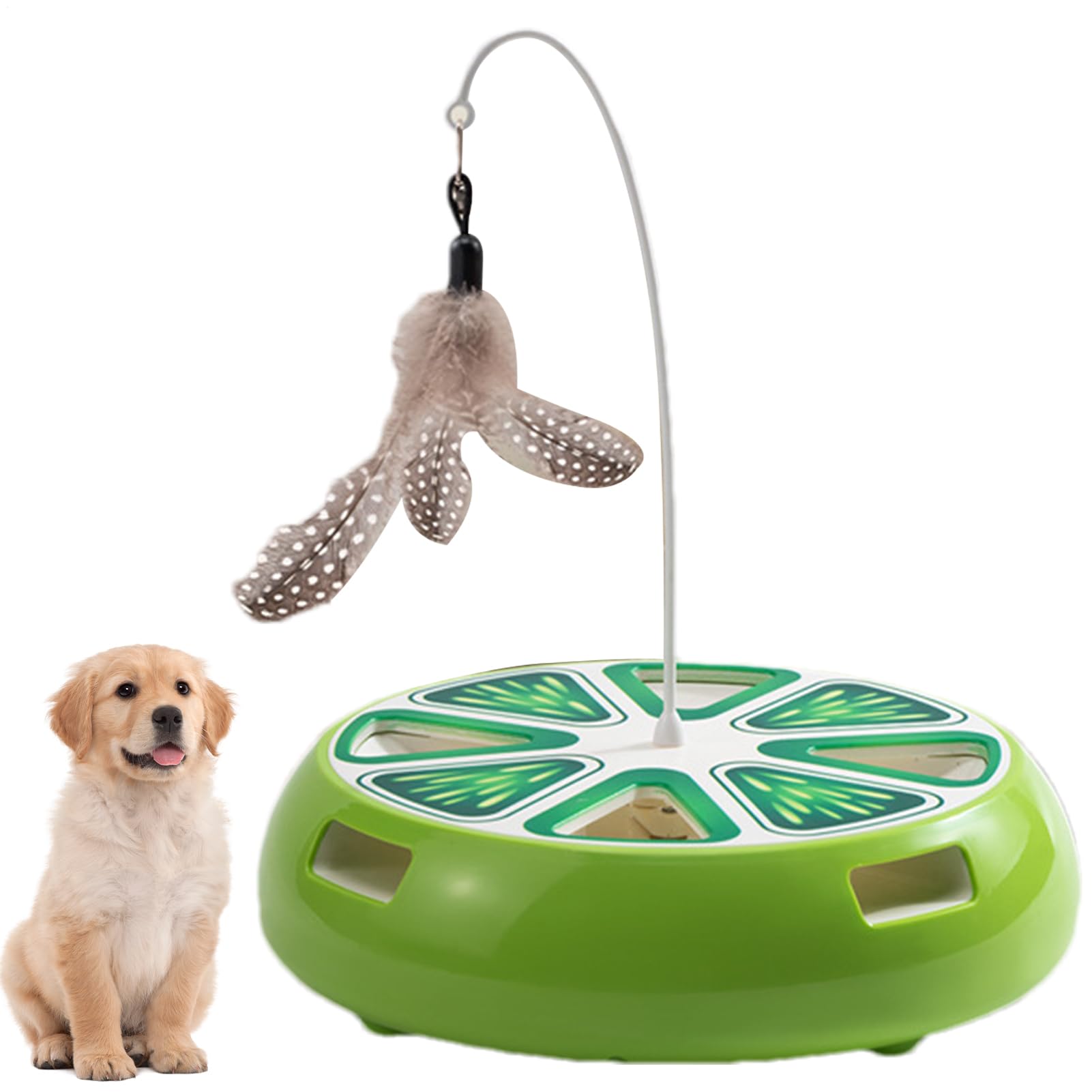 Jouet électronique pour chat rechargeable avec disque rotatif automatique d'exercice