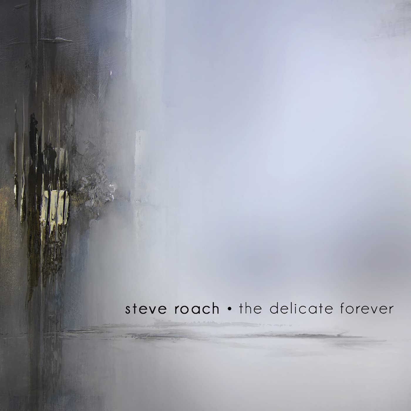 Steve Roach The Delicate Forever CD New 617026030524