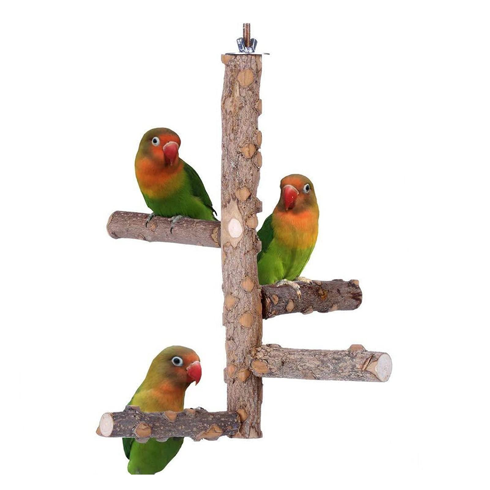 Vogelspielzeug Haustier Papagei Vögel Stehstab Hölzerner Vogel Klettern Leiter Perches Nymphensittich Sittich Klaue Schleifen Spielzeug Bird Cage Zubehör