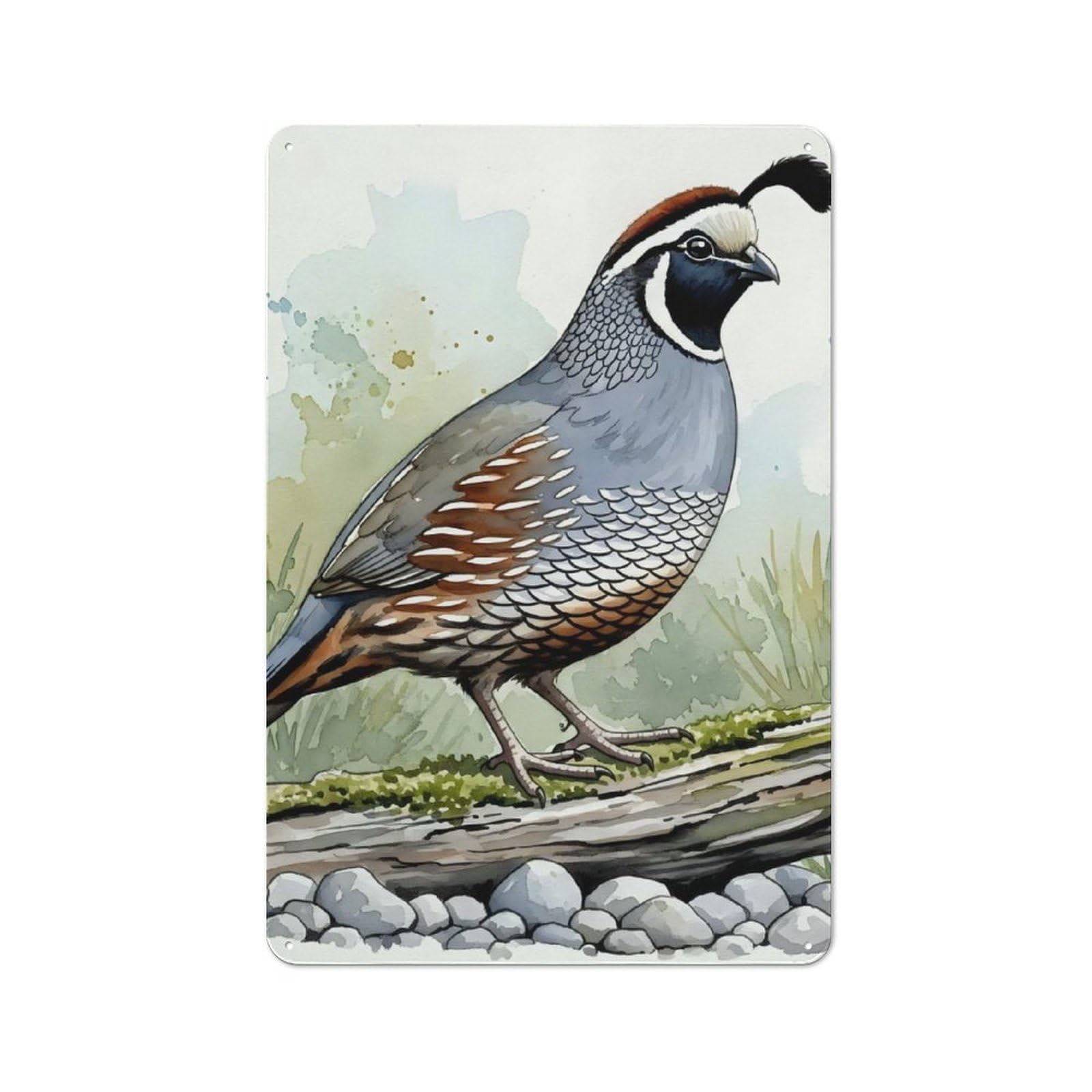 Junmoney Watercolor California Quail Illustration Retro Metal Wall Sign 30X20cm With For Living Room Wall, For Vintage Wall Decor Fans, For Themed Room Decoration