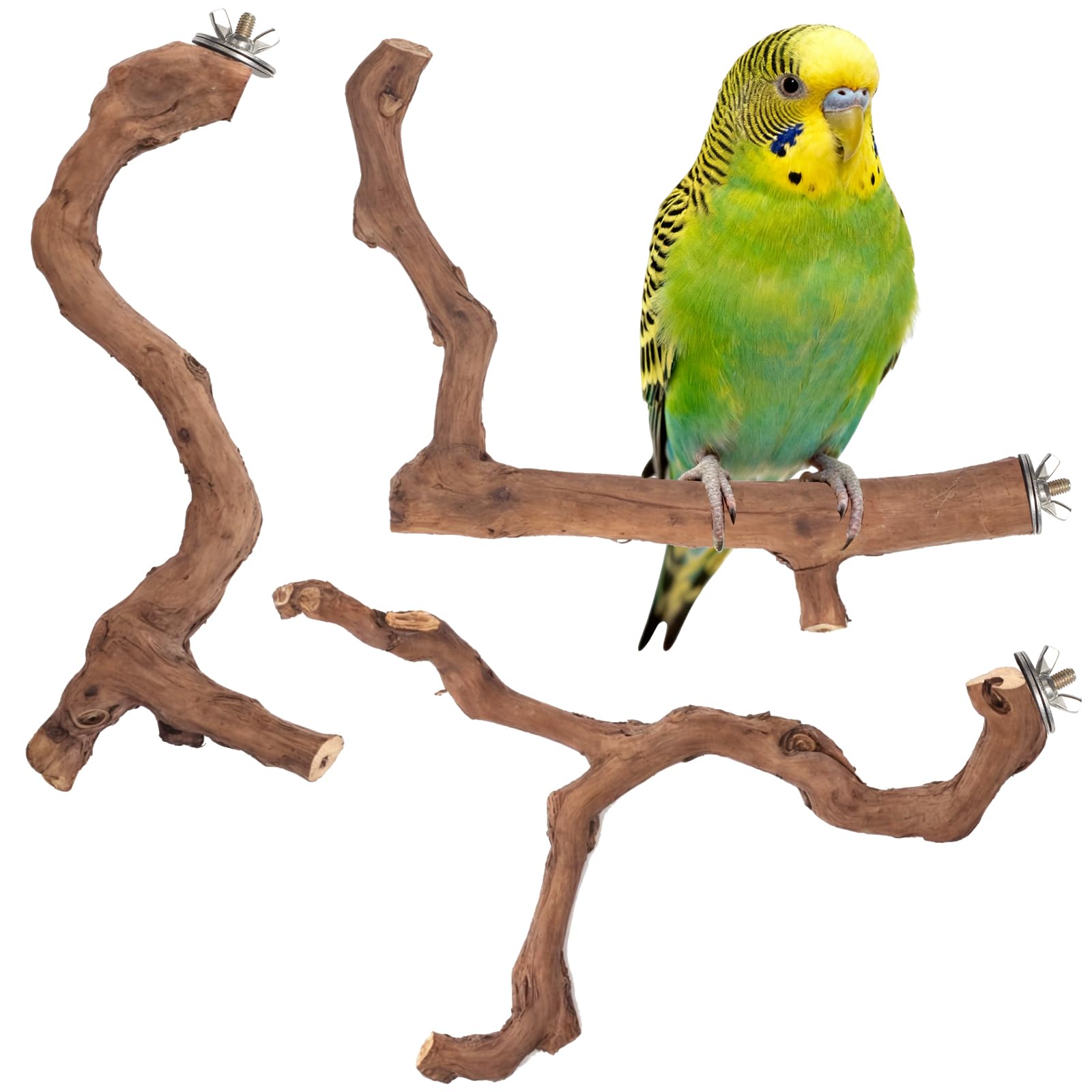 3-Piece Premium Bird Perch Stand with Natural Grape Wood Branch, Paw Grinding Fork, Chewing Stick, Cage Accessories for Parakeets, Budgies, Cockatiels, Finches, Lovebirds