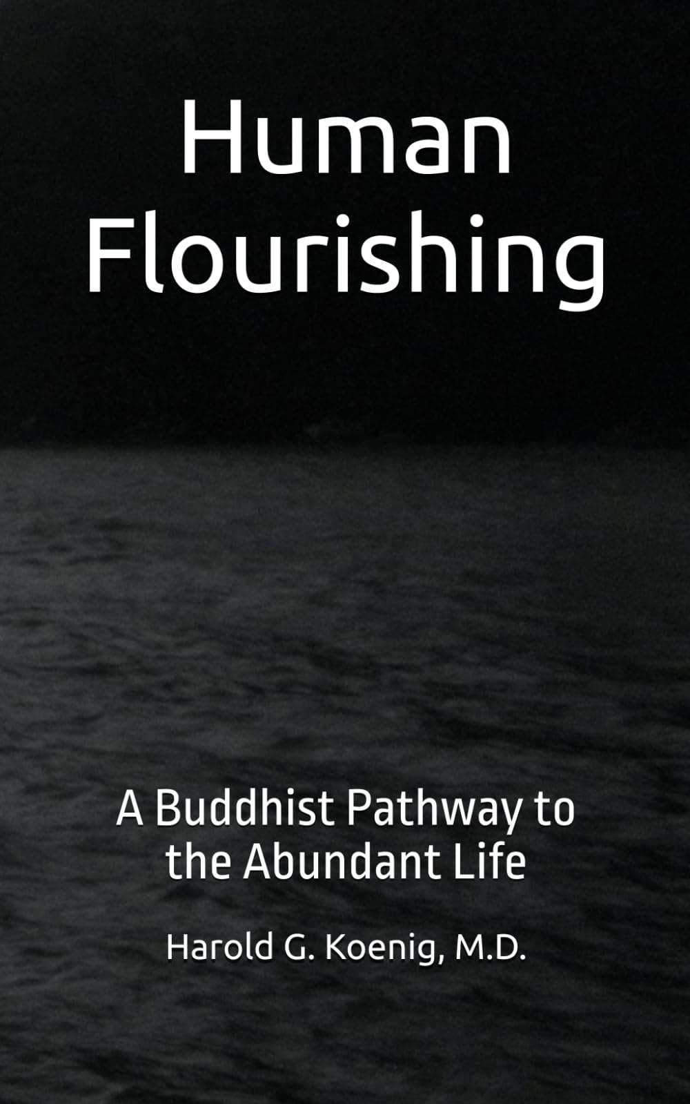 Human Flourishing: A Buddhist Pathway to an Abundant Life
