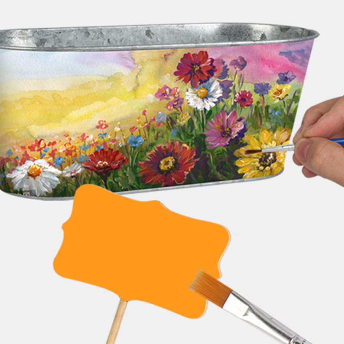 Kit Coltivazione Piante per Ferro, DIY Creativo