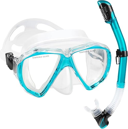 Adult Snorkel Set, Professional Snorkeling Gear Panoramic Anti-Fog Diving Goggles and Dry Snorkel Tempered Glass Scuba Mask for Diving, Snorkeling