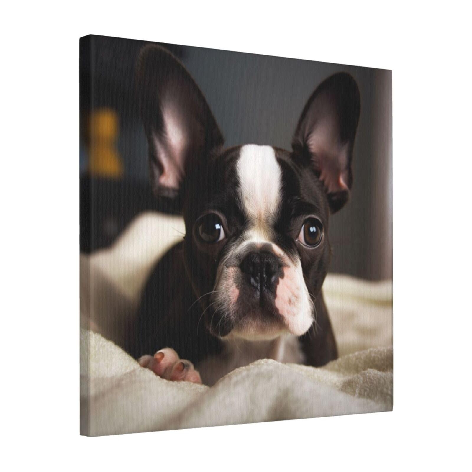 FodPand Cute Boston Terrier Canvas Wall Art for Living Room Wall Decor 16"x16" Modern Artwork Painting Pictures Hanging Canvas Prints Aesthetic Wall Art for Bedroom Bathroom Office Wallart Decor