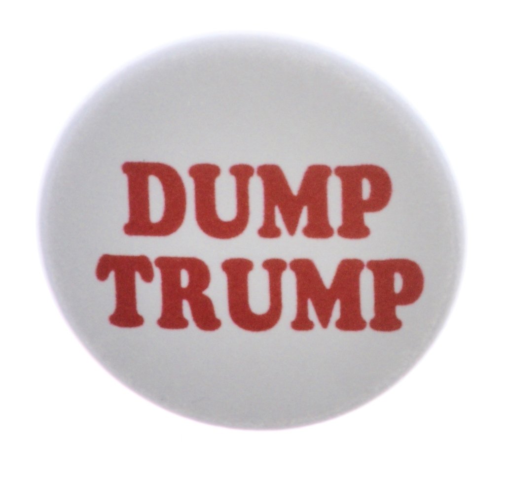 A&T Designs Dump Trump 1.25" Pinback Button Pin Anti Donald President Campaign