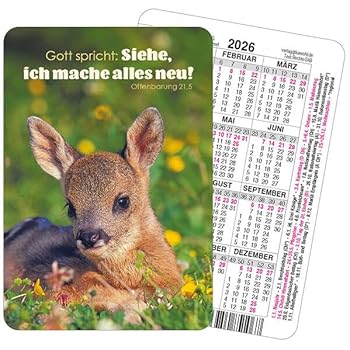Spielkartenkalender 2026 f&uumlr Kinder
