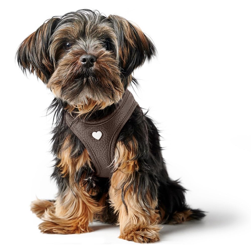 Hunter Hundegeschirr Love, Farbe: braun, weiches Rindsleder, atmungsaktive Mesh-Polsterung, Herz handgenäht, hoher Komfort, Made in Germany, Größe: XS-S