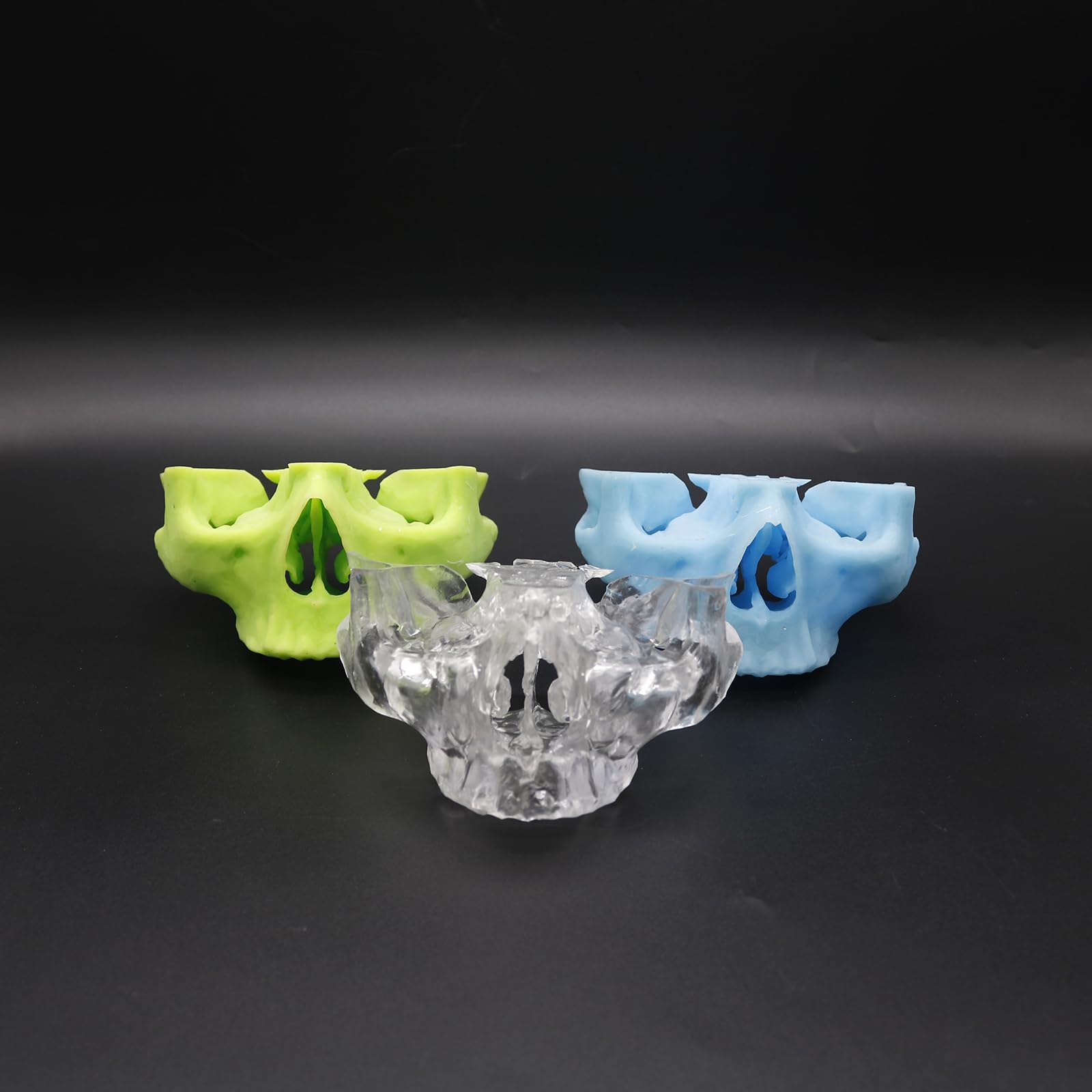 Modello di Pratica per Impianti Dentali Modello di Pratica di Perforazione dello Zigomo e del Pterigoide per Studenti e Professionisti,Blu,12cm