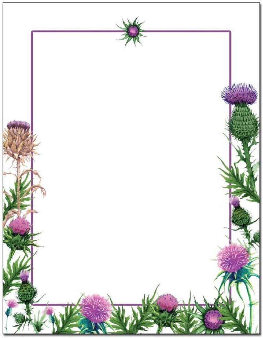 Colorful Thistles Letterhead - 100 Sheets/Pack - 3 Packs