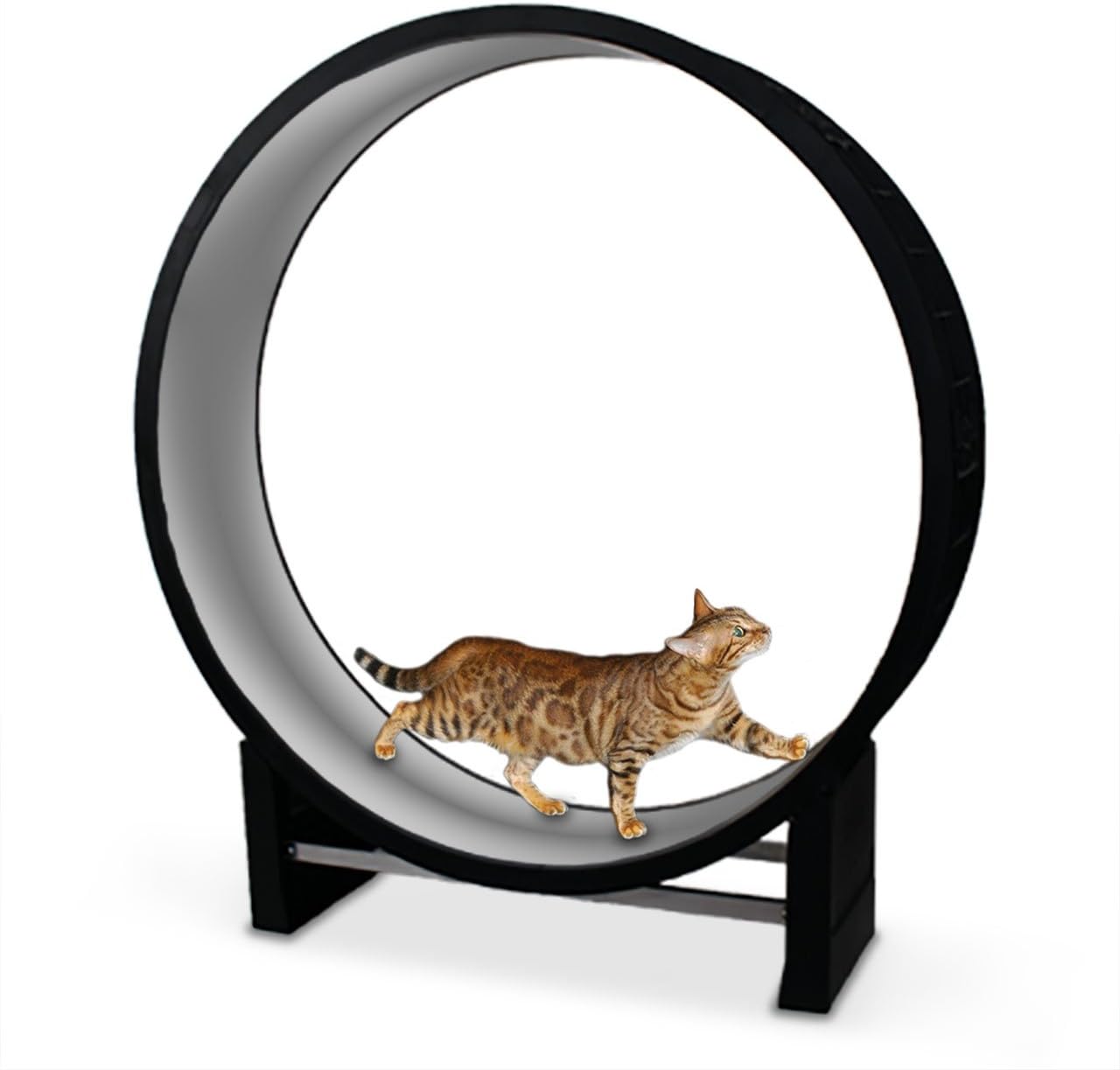 Canadia & Company® Cat Wheel in Motion Light Grey Trainer and Cat Toy