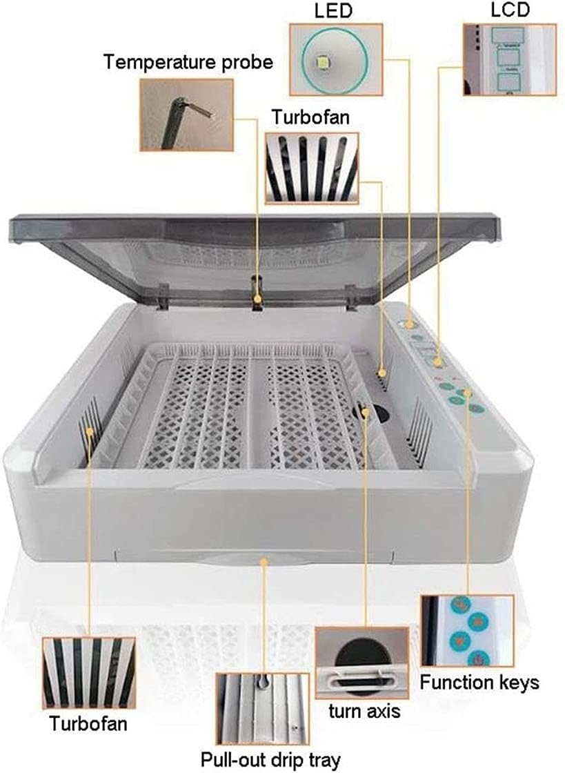 Egg Incubator Incubator for Eggs Mini Digital Egg Incubator Automatic Intelligent Incubator Household Mini