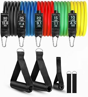 Roughhouse Resistance Bands Set for Home Gym – 5 Levels Stackable Workout Tubes with Foam Handles, Door Anchor, Ankle Stra Price In India