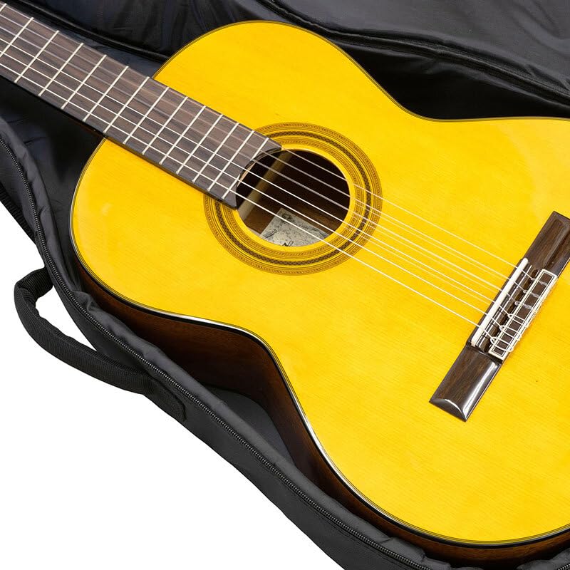Amazon | ARIA A-20S-53 アリア ミニ クラシックギター ナイロン弦