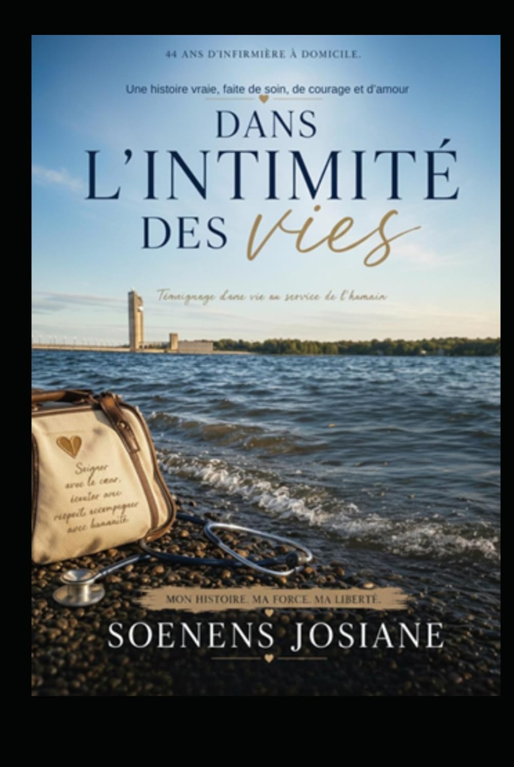 Dans l'intimité des Vies: Récit d'une infirmière à domicile