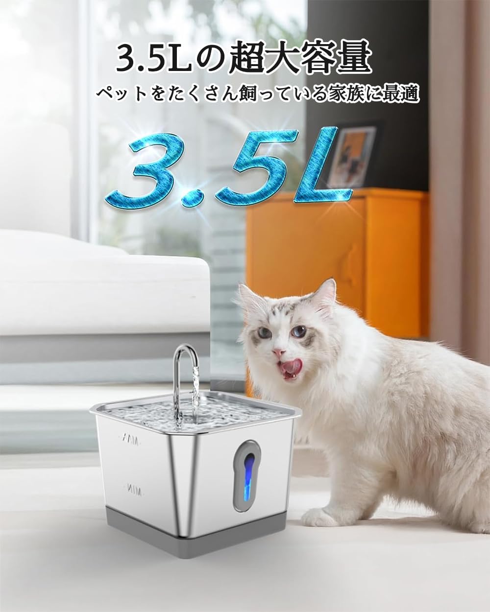 マイク様専用 Nano前葉体+ Bacteria前葉体②セット おまとめ割引 マイク様専用 Nano前葉体+ Bacteria前葉体②セット おまとめ割引