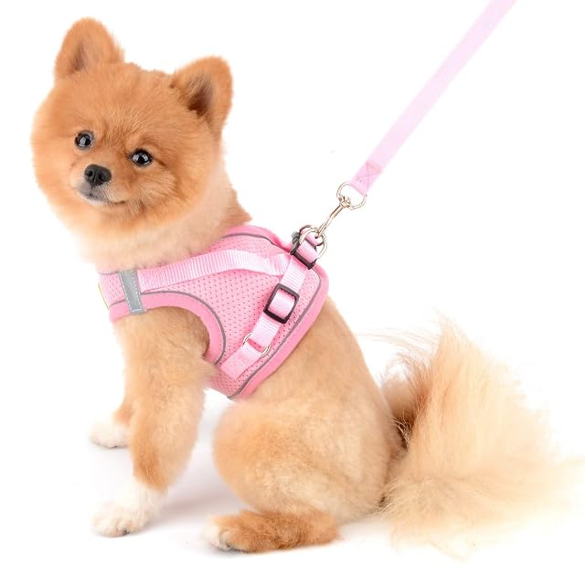 Foto 5 de 8 de SMALLLEE_LUCKY_STORE Arnés y correa de malla suave para perros y gatos pequeños para caminar