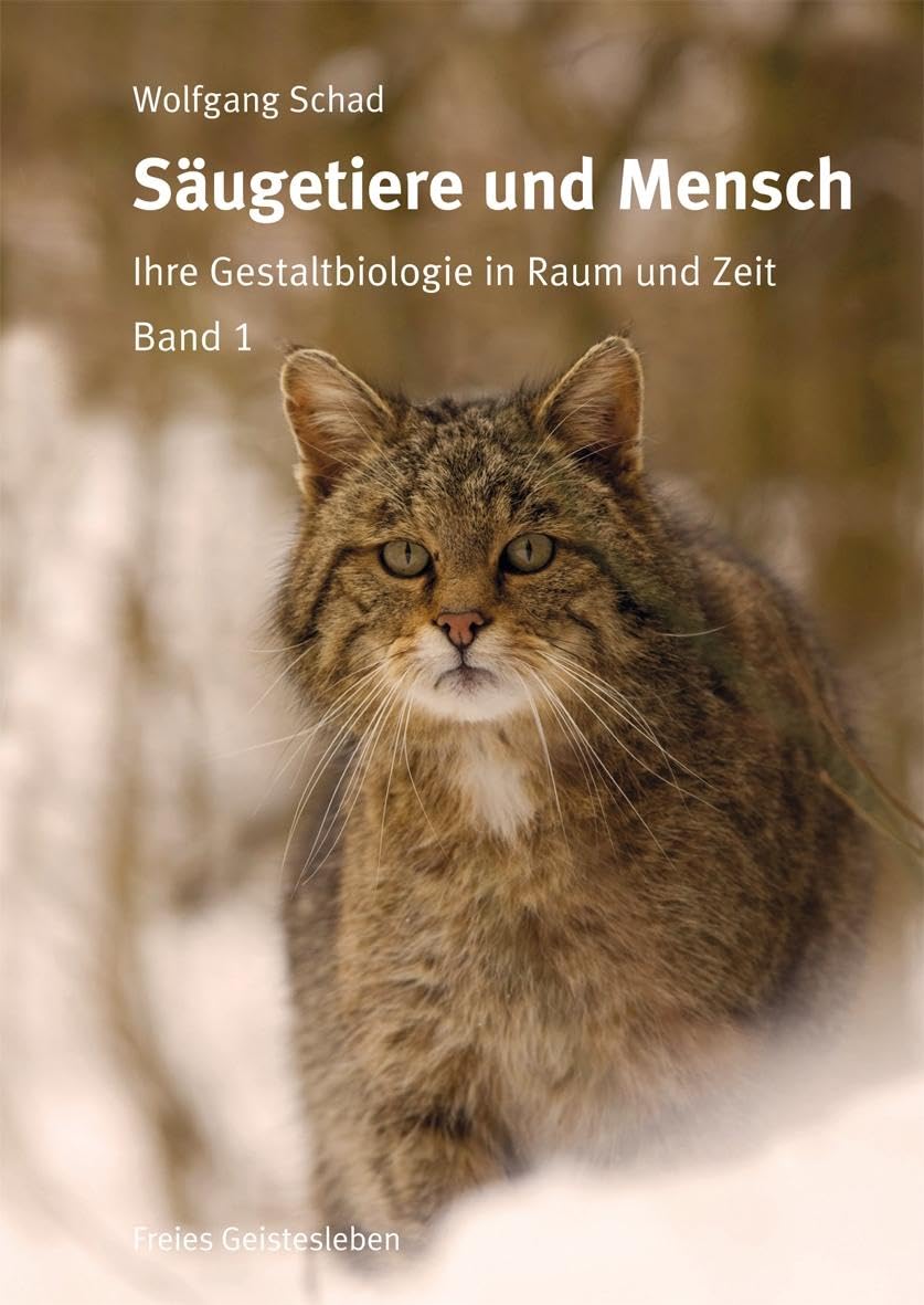 Säugetiere und Mensch: Ihre Gestaltbiologie in Raum und Zeit