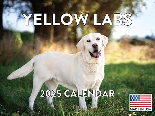 Vista 313 de Calendario Goldendoodle 2026 Golden Doodle mensual de pared calendario de 12 meses Fabricado en Estados Unidos