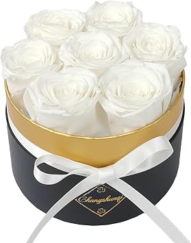 Changshunqi Preserved Roses, Forever Flowers in Luxury Box Preserved Flowers for Delivery, Eternal Rose Flower Long-Lasting 2-3 Years, Anniversary Rose Forever Birthday Gifts for Women Mom