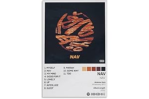 Adorn Your Space with Nav Canvas Poster
