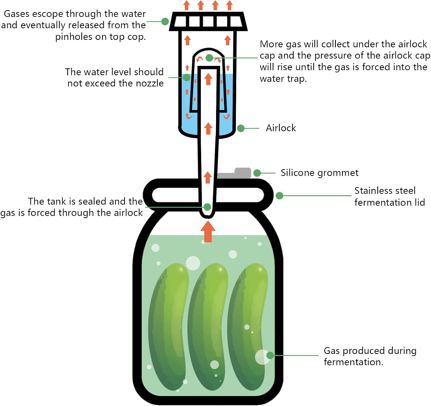 Artcome 11 Pcs Fermentation Kit - Easy Fermentation Kit for Wide Mouth Mason Jars - Includes Stainless Steel Lids, Glass Weights, Airlocks, Silicone Rings, Grommets, & Recipe Guide(Jars Not Included)