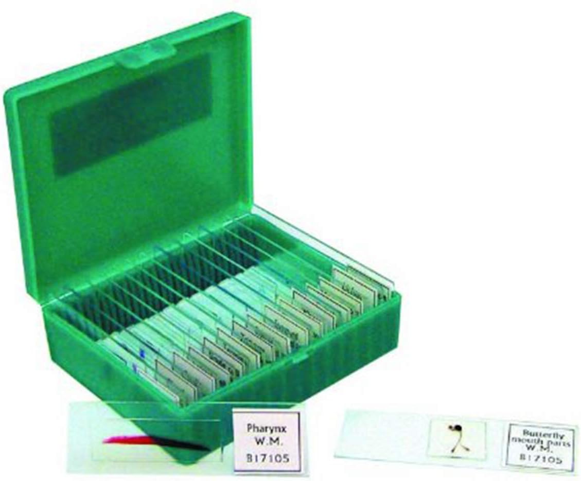 Walter Products B17105 Prepared Slide Set-Small Organisms (Pack of 15)