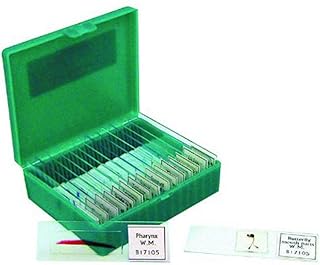 Walter Products B17105 Prepared Slide Set-Small Organisms (Pack of 15)