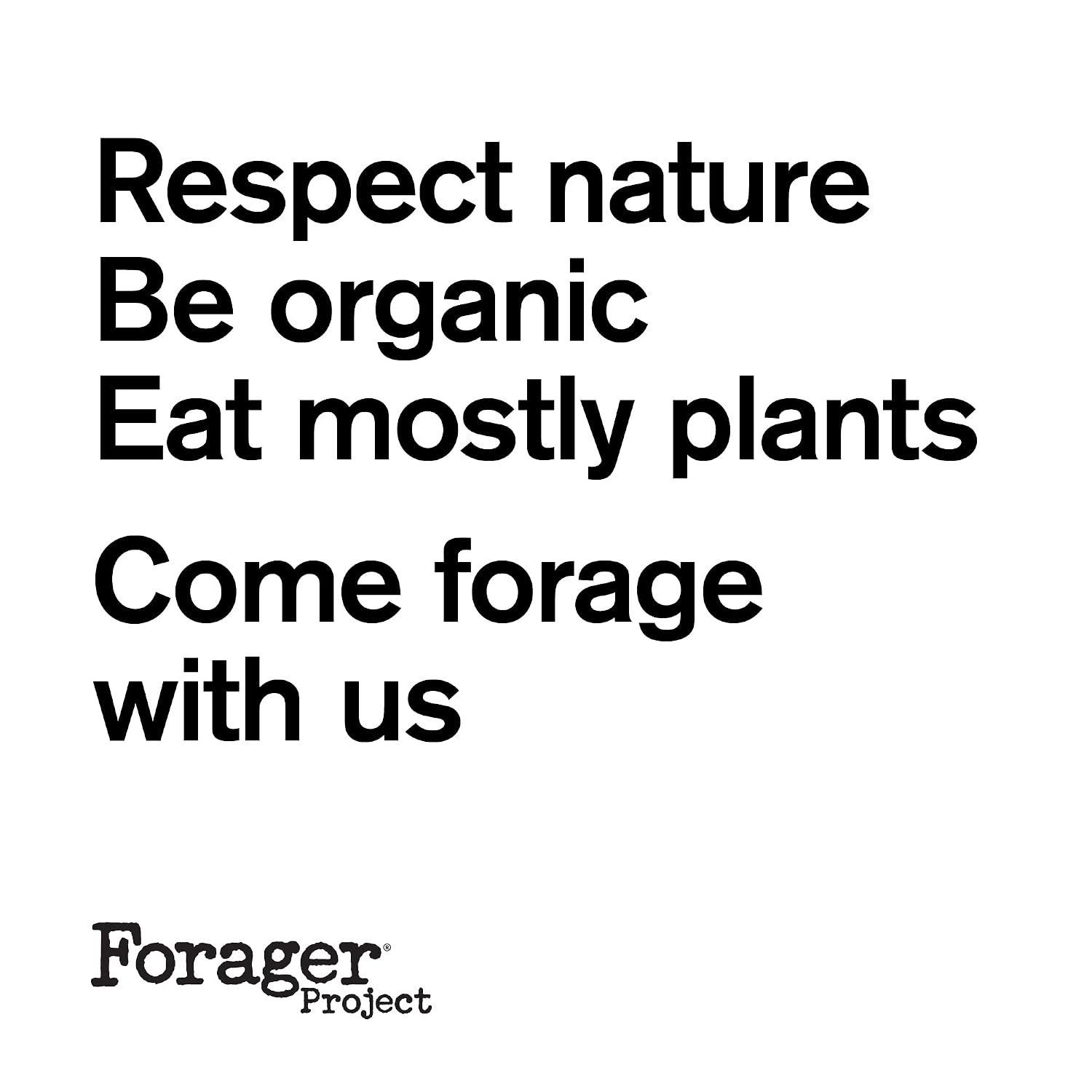 Forager Project Cashewmilk Yogurt, Vanilla Bean, 5.3-Ounce