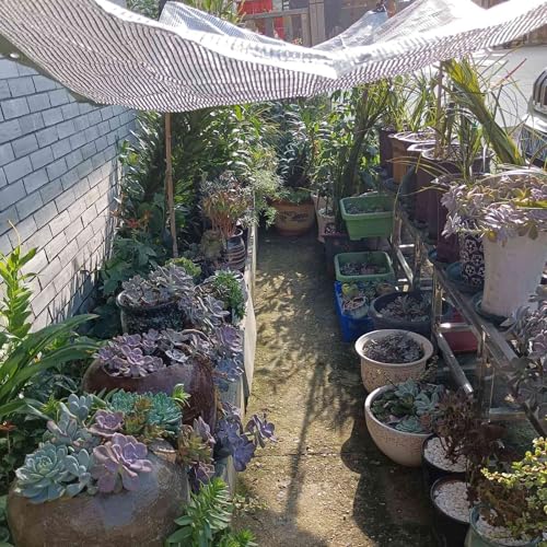 Toile d'ombrage pour serre et jardin avec œillets filet protection