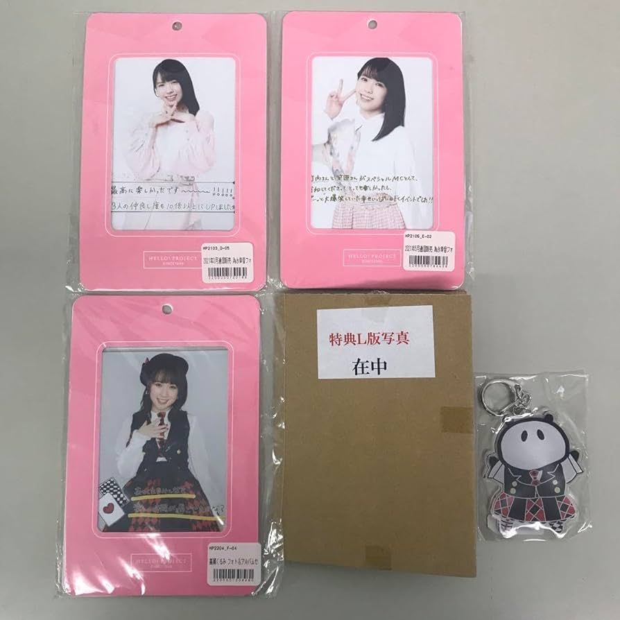 ハロプロ モーニング娘。 A4生写真 フォトブック セット