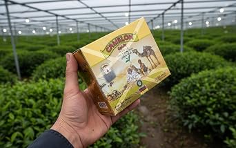 CAMELON Glass Bag Tea 100 Piece 200 G (1)