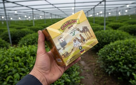 CAMELON Glass Bag Tea 100 Piece 200 G (1)
