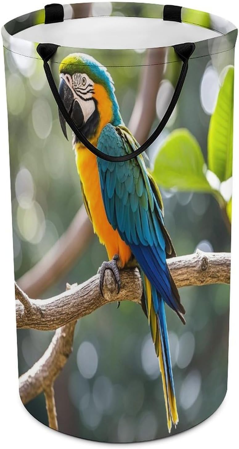 Parrot Laundry Hamper Large Collapsible Laundry Basket with Handles Waterproof Clothes Hamper Portable Dirty Clothes Basket for Bedroom Laundry Room Closet Bathroom