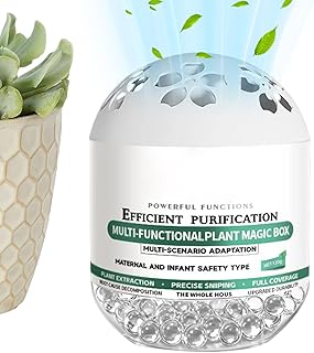 Purificadores de Aire | Purificadores Caseros Naturales A Base Vegetal, de eliminación de polvo y purificación de aire interior - Para Oficina, Dormitorio De Mascotas, Coche Casa Nueva