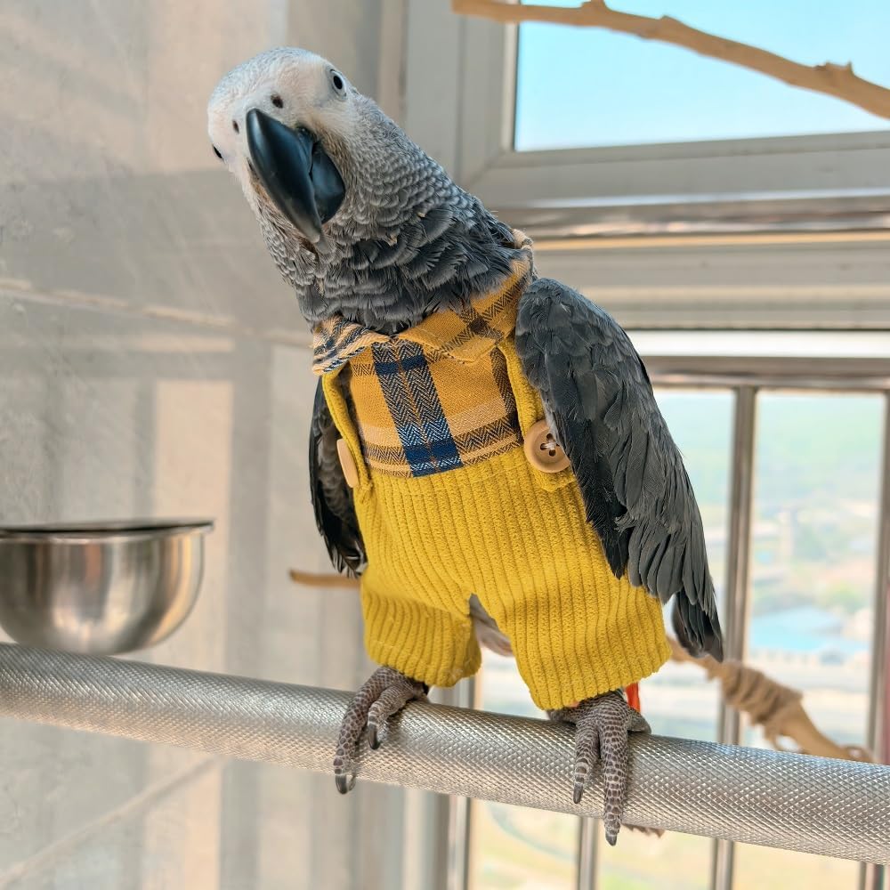 Parrot Supplies, Lightweight Flight Suit for Birds, Parrot Restraint Supplies, Comfortable and Warm, Suitable for Green cheeked Parakeets, Sun con, Monk Parakeets (4XL)