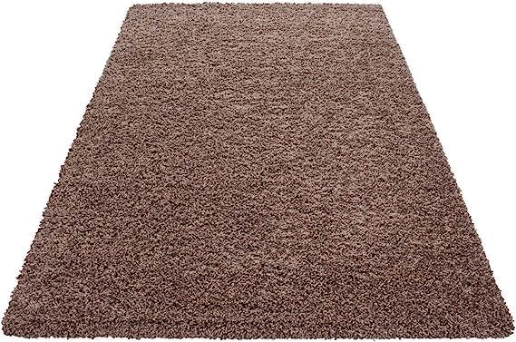 SASONS® Extra Large Shaggy Rug 5cm Thick Soft Pile Modern Fluffy Rugs for Living Room Bedroom Floor Carpet Mat Non Shedding Warm Colours Small X-Large Area Rugs (Duck Egg Blue, 120 x 170cm)
