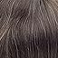 Dark Light Brown 3#+5% Grey Hair