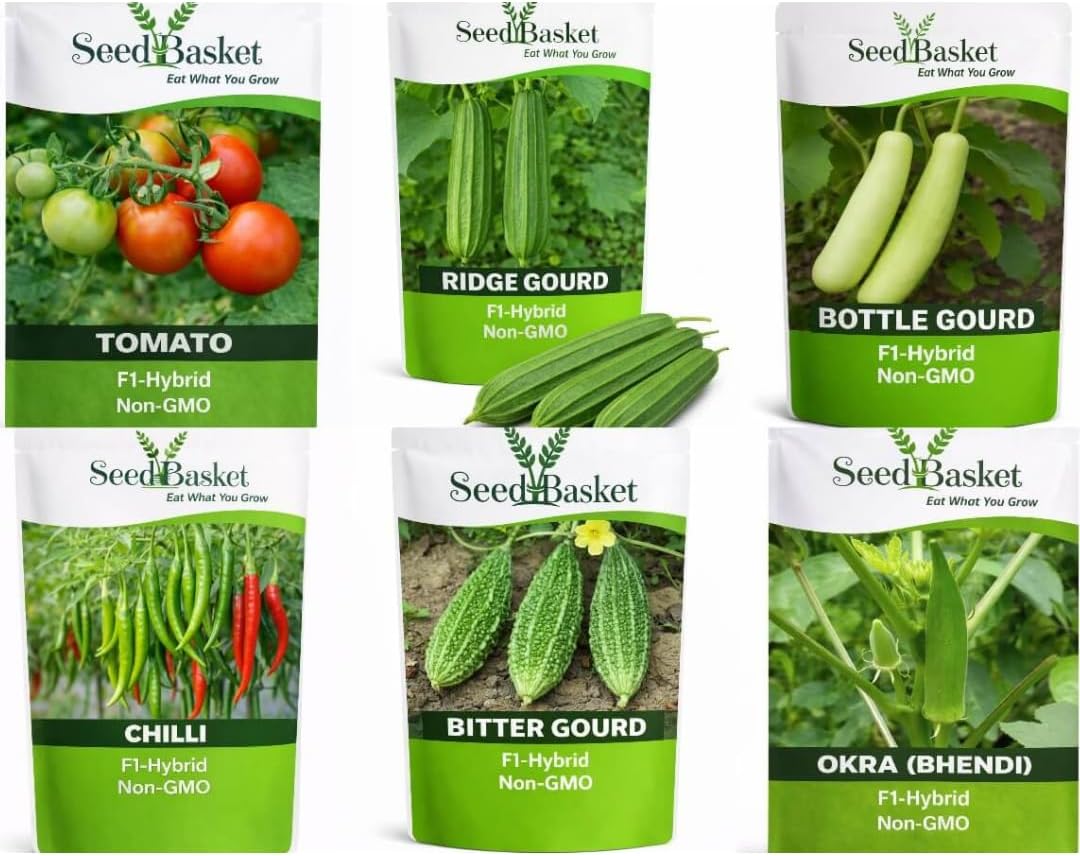 Hybrid Vegetable Seeds Pack of 6 – Bhendi (Okra), Chilli, Tomato, Bottle Gourd, Ridge Gourd & Bitter Gourd Seeds for Home Gardening | High Germination | Suitable for Pots & Terrace Gardens
