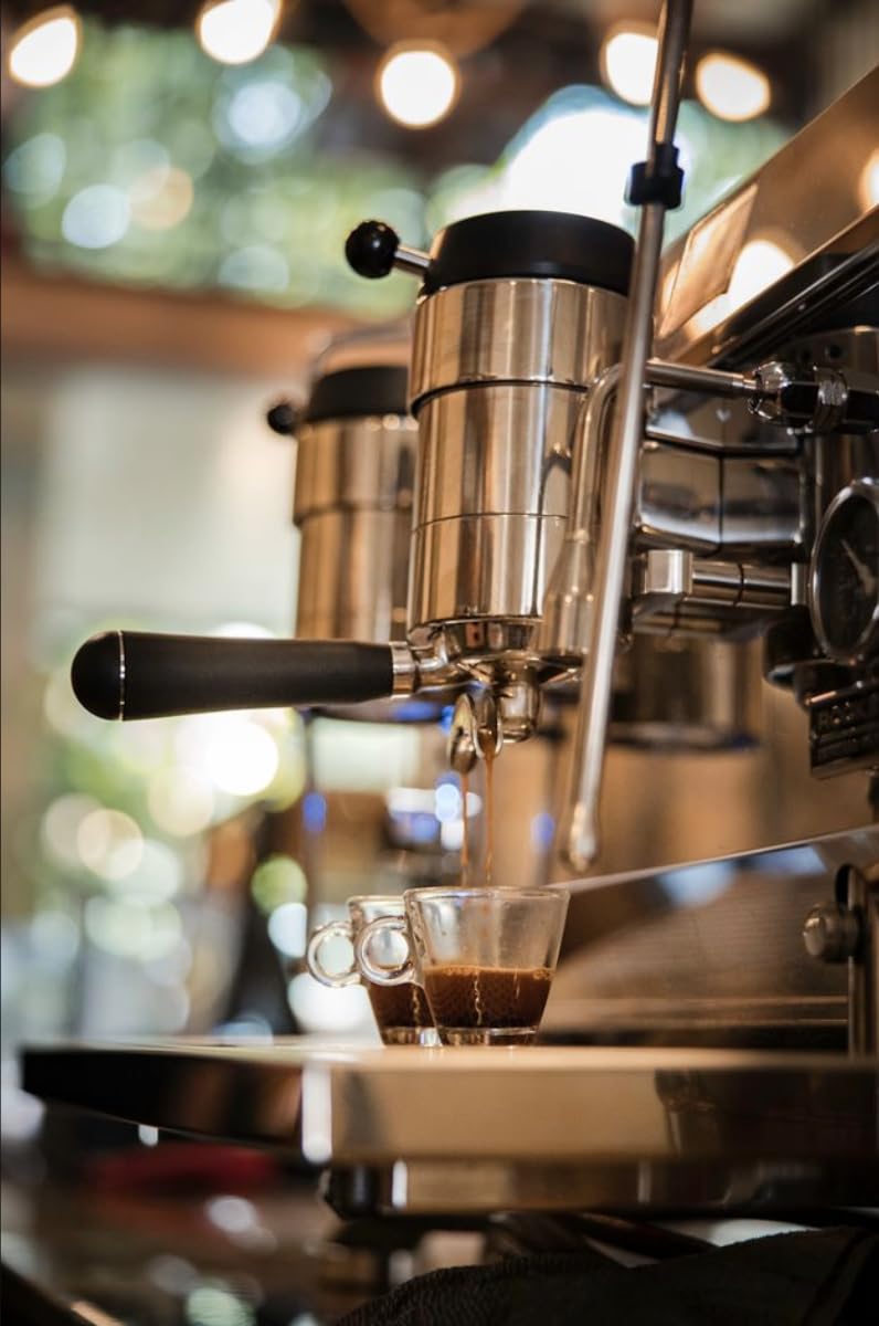 Pan & Kof.feé Chiapas Mexican Coffee, 100% Arabica Single Origin, Medium Roast Whole Bean, Dark Chocolate & Cinnamon Notes, Small-Batch Artisanal Specialty, 12 oz Bag