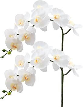 CXGS Artificial Orchid Flower 9 Large Petals Realistic Latex Faux Orchids 2PCS 37in Orchid Stems White Fake Phalaenopsis Flower for Wedding Home Arrangement Decor