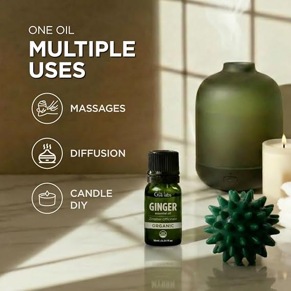 Gya Labs USDA Certified Organic Ginger Essential Oil for Warming Massage, Diffuser - for Topical Use, Hair, Aromatherapy, Spicy & Energizing Aroma - DIY Candle Making Scents - 0.34 Fl Oz
