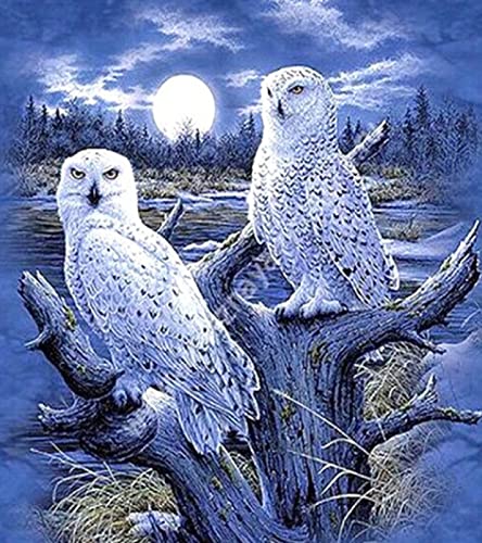 Peinture au diamant 5D chouette harfang des neiges kit complet broderie strass 30x40cm