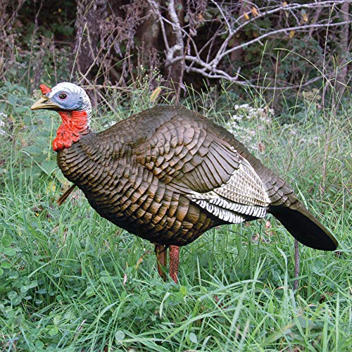 Higdon Outdoors 1/4 Strut Jake Turkey Decoy for Attracting Hens, Toms, Gobblers & Jakes While Turkey Hunting