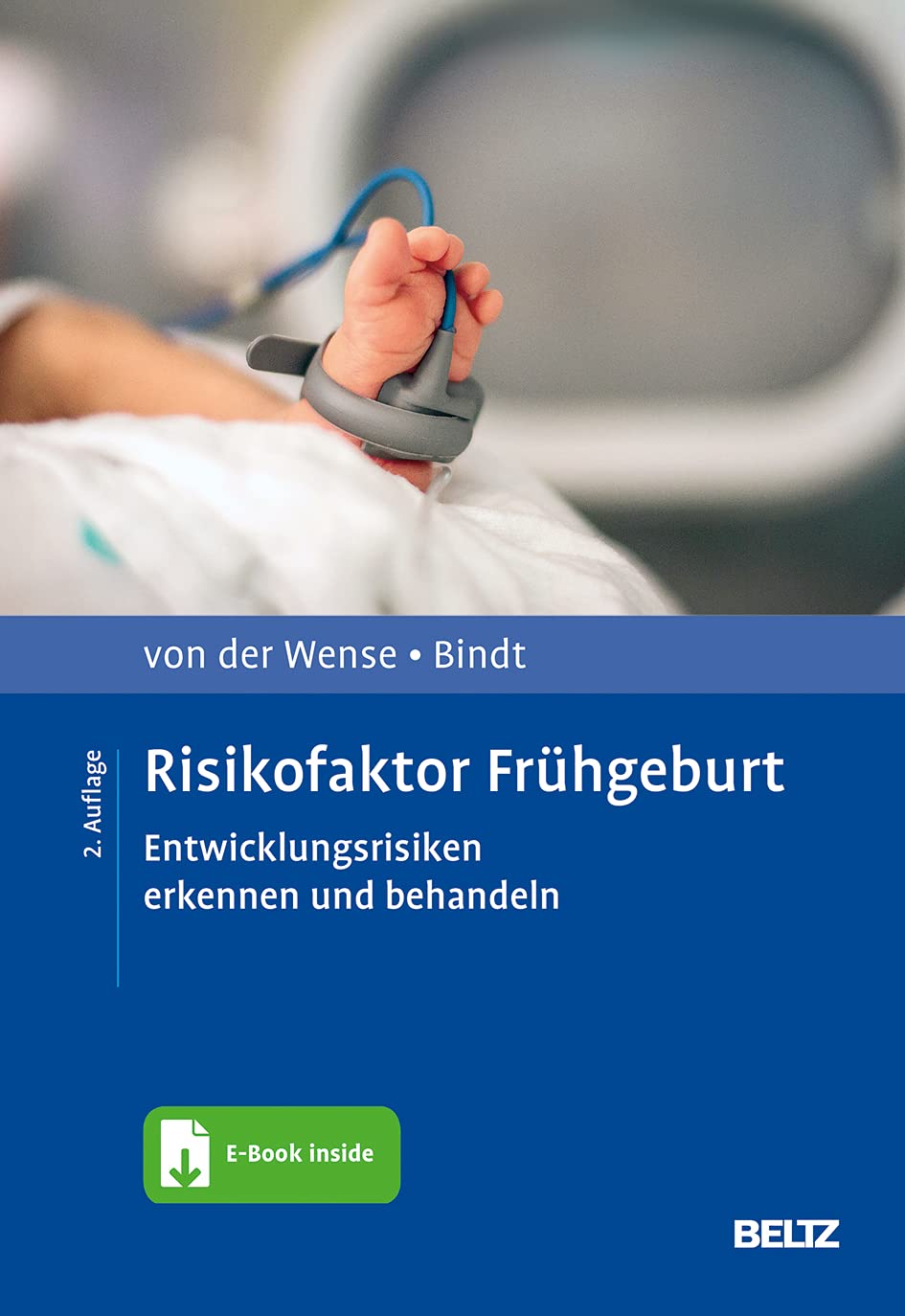 Risikofaktor Frühgeburt: Entwicklungsrisiken erkennen und behandeln. Mit E-Book inside (Risikofaktoren der Entwicklung im Kindes- und Jugendalter)