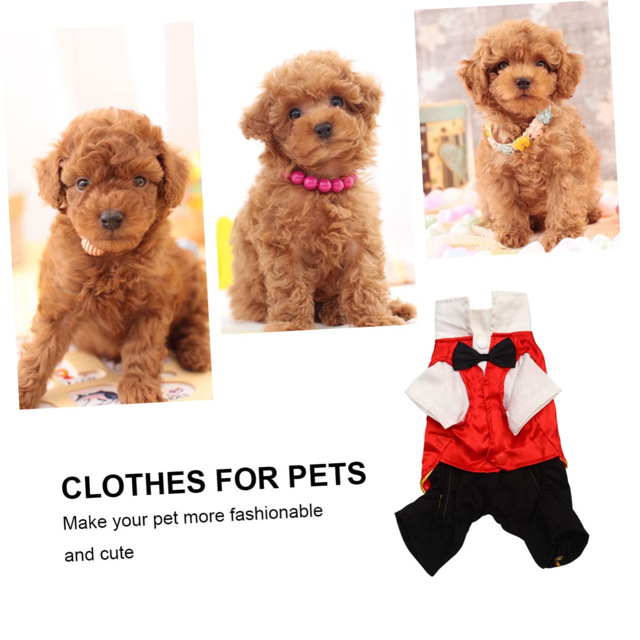 Ropa De Halloween para Perros Disfraz De Chupasangre Suministros para Mascotas Diseño